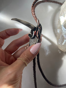 Longhorn Bolo