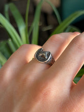 Load image into Gallery viewer, Sterling Silver Horseshoe Ring