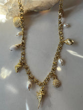Load image into Gallery viewer, Sea Shell Charm Necklace Gold