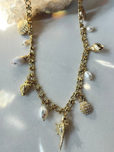 Load image into Gallery viewer, Sea Shell Charm Necklace Gold