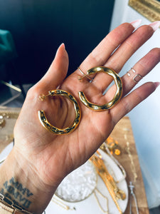 Holly Hoops